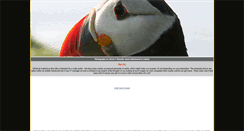 Desktop Screenshot of anyonecoulddothat.com